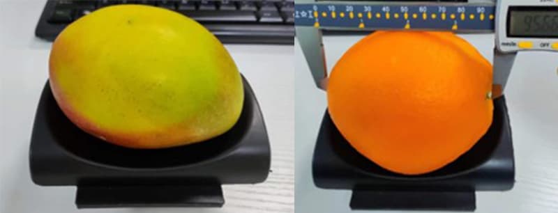 images/1709280634177mango sorting machine.jpg